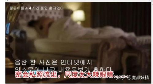 网红明星吃瓜网站大全,揭秘娱乐圈幕后真相